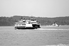 Black & White Ferry Boat Near Mukilteo preview