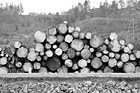 Black & White Lumber Stack preview