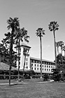 Black & White Nobili Hall & Palm Tress in Mission Gardens, Santa Clara preview