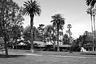 Black & White Santa Clara University Mission Gardens preview