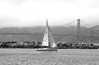 Black & White Sail Boat & Golden Gate Bridge preview