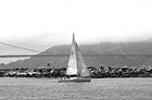 Black & White Golden Gate Bridge & Sailboat preview