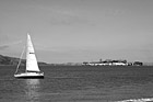 Black & White Alcatraz & Sailboat preview