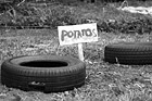 Black & White Potatos at Green Gulch Farm preview