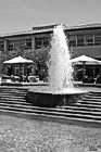 Black & White Fountain in front of Benson preview