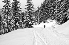 Black & White Man Snowshoeing Up Hill preview