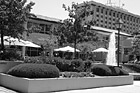 Black & White Outside Benson Dining Center preview
