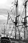 Black & White Bounty Tall Ship preview