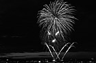 Black & White Purple Fireworks preview