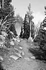 Black & White Hiking Trail in Mt. Rainier National Park preview