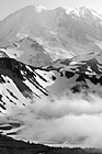 Black & White Mt. Rainier & Fog preview