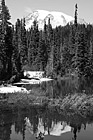 Black & White Reflection Lake, Trees, & Mt. Rainier preview