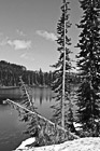 Black & White Reflection Lake, Trees & Snow preview