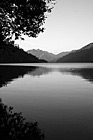 Black & White Lake Cresent Tree Silhouette & Sunset preview