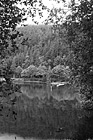 Black & White Early Morning Lake Reflections preview
