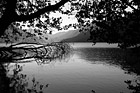 Black & White Lake Cresent & Silhouettes preview