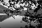Black & White Lake Cresent Reflections & Silhouette preview