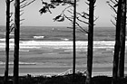Black & White Ruby Beach Ocean Waves preview