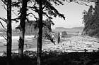 Black & White Looking Out at Ruby Beach preview