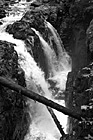 Black & White Sol Duc Falls preview