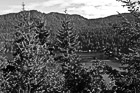 Black & White Trees & Mountains Around Lake Cresent preview