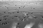 Black & White Small Rocks on Beach preview