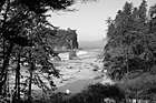 Black & White Looking Down at Ruby Beach preview