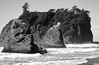 Black & White Ruby Beach Sea Stacks & Waves preview