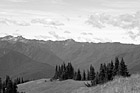 Black & White Olympic Mountain Hills & Field preview