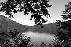 Black & White Lake Cresent & Tree Branch Silhouettes preview