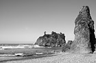 Black & White Ruby Beach Sea Stack Rocks preview