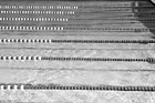 Black & White Lanes of a Swimming Pool preview