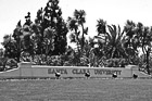Black & White Santa Clara University Main Entrance preview