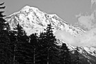 Black & White Mt. Rainier &  Sunset Glow preview