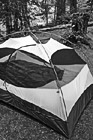 Black & White Gray & White Tent preview