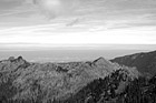 Black & White Olympic Peninsula preview