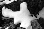 Black & White Snow on Rocks Close Up preview