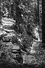 Black & White Switchback Hiking Trail preview