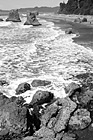 Black & White Beach and Rocks at Ruby Beach preview