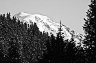 Black & White Red Mt. Rainier preview