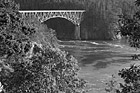 Black & White Deception Pass & Trees preview