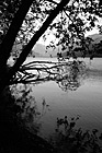 Black & White Trees & Silhouettes on Shore at Cresent Lake preview