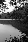Black & White Hill Reflection & Tree Branches preview