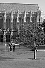 Black & White Suzzallo Library, Tree & Students preview