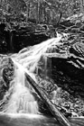 Black & White Waterfall & Log preview