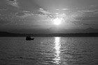 Black & White Puget Sound Orange  Sunset preview