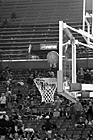 Black & White Basketball Hoop & Ball preview