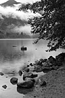 Black & White Rocks & Tree Along Diablo Lake preview