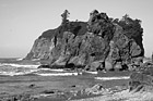 Black & White Ruby Beach Rocks & Seastacks preview