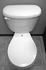 Black & White White Toilet With Seat Down preview